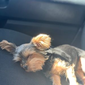 Meet your Posher, Stacey